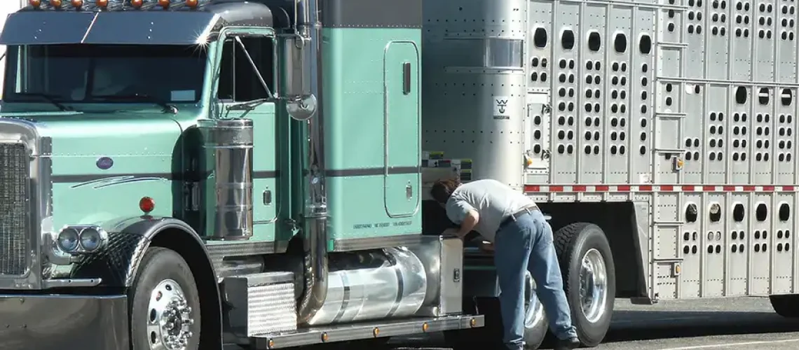 Decatur Trailer Sales & Service—A certified mechanic performs a DOT inspection on a semi-truck to ensure it is safe for travel in Decatur, IL.